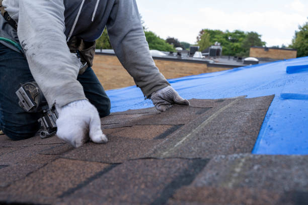 Best Gutter Installation and Roofing  in Red Bank, TN