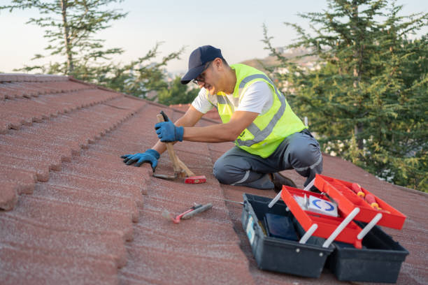 Best Roof Gutter Cleaning  in Red Bank, TN